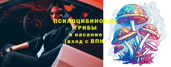 spice Абинск